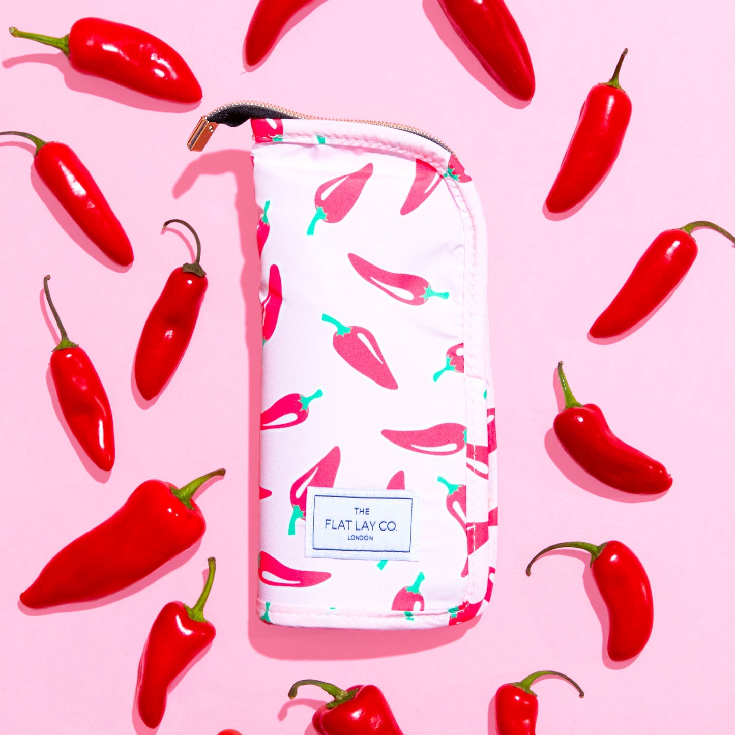 Chillies Standing Brush Case and Pot