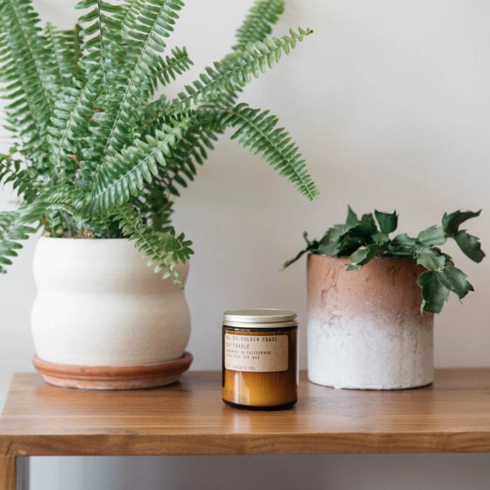 P.F. Candle Co.: Golden Coast Soy Candle