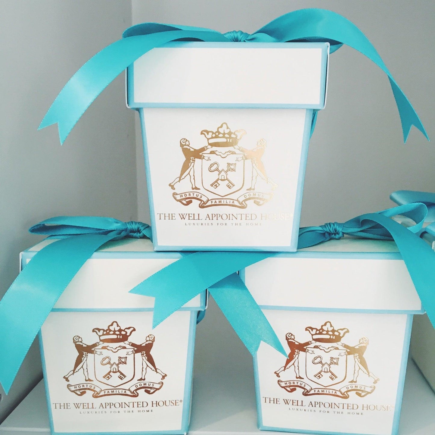 Well Appointed House French Jasmine Scented Candle