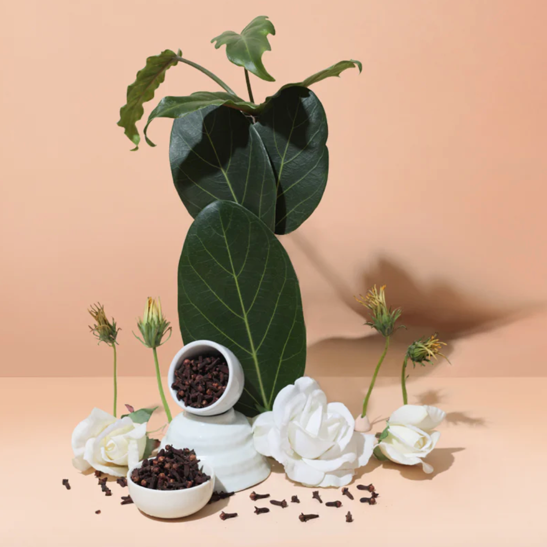 COME CLOSER CANDLE: white gardenia + ylang ylang