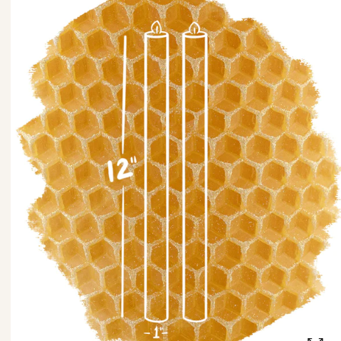 12" Pair of Taper - Mandarine