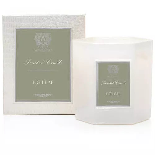 Candle Fig Leaf